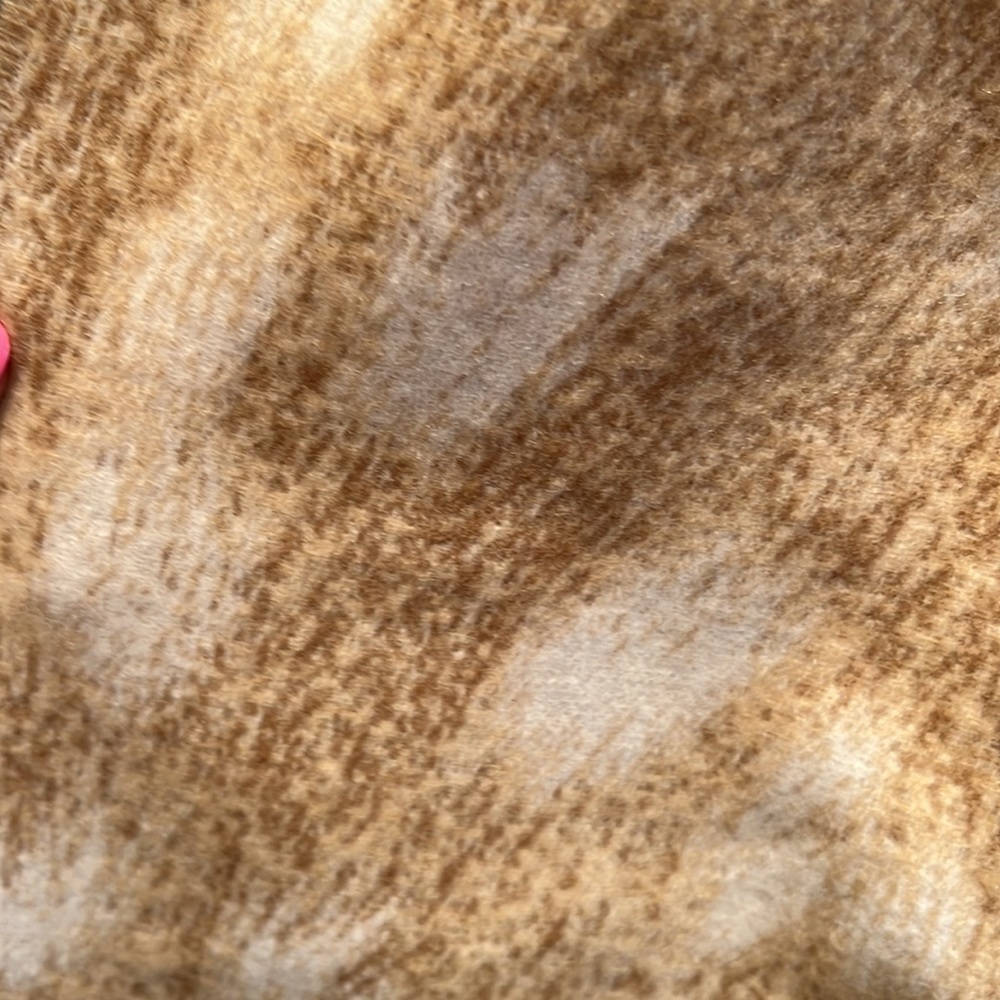 Burberry photographic deer scarf - Picture 6 of 8